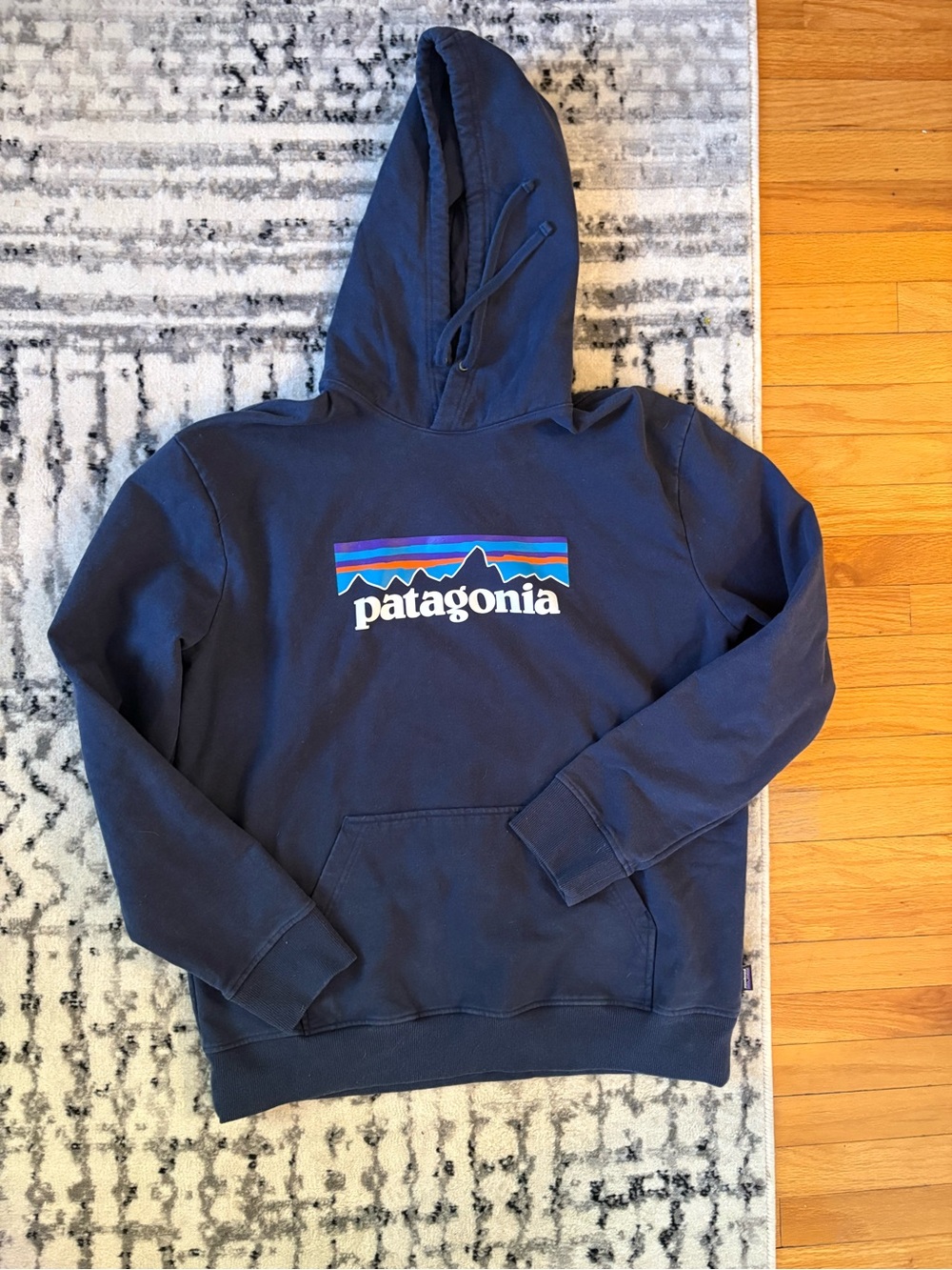 Patagonia Sweatshirt